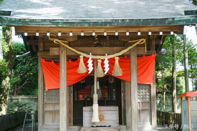 酷ma萌陪伴机器人熊本熊,酷ma萌和熊本熊