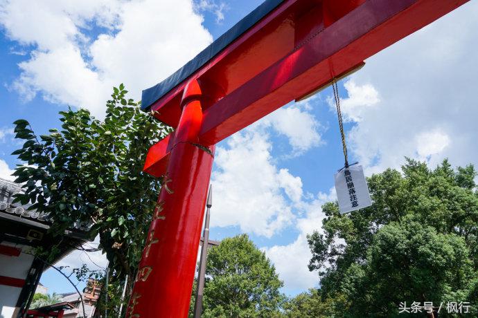 酷ma萌陪伴机器人熊本熊,酷ma萌和熊本熊