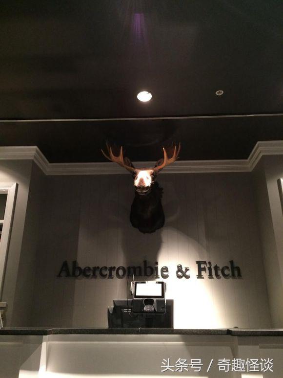 在美国旅游日常,在美国旅游攻略大全最新