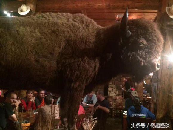 在美国旅游日常,在美国旅游攻略大全最新