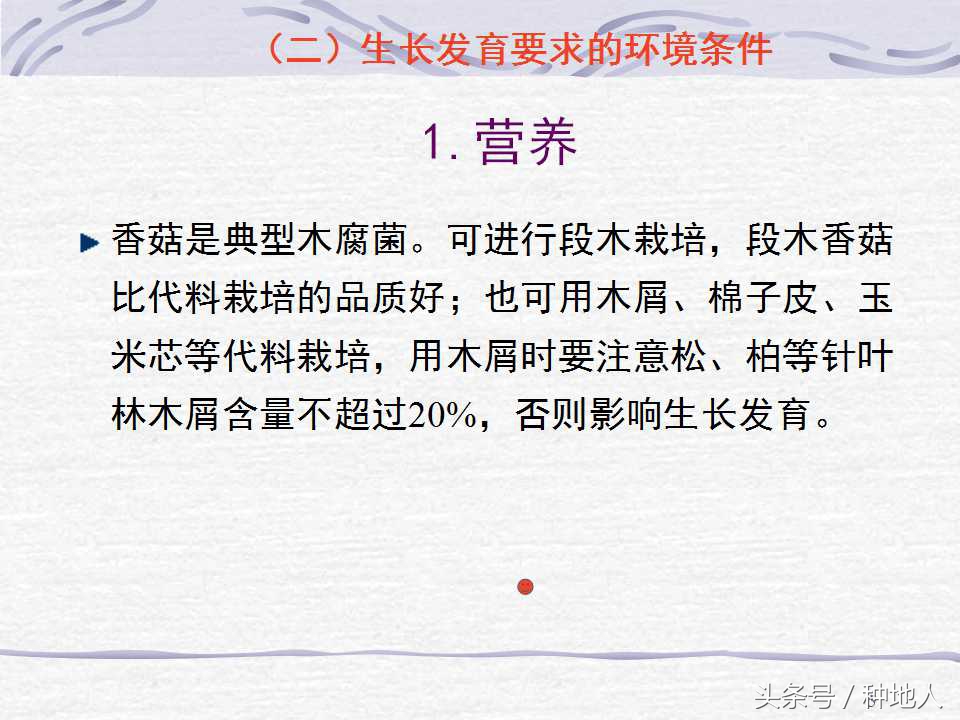 香菇栽培实用技术教案,屋顶香菇栽培