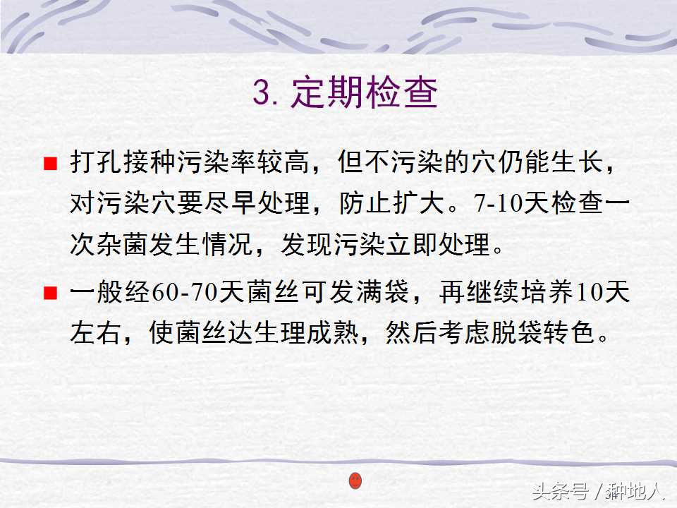 香菇栽培实用技术教案,屋顶香菇栽培