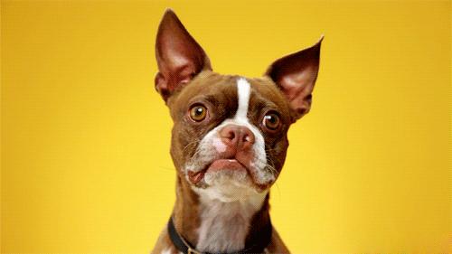 当老师真苦,当老师的苦与乐