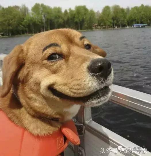 解决灰指甲,怎样根治灰指甲