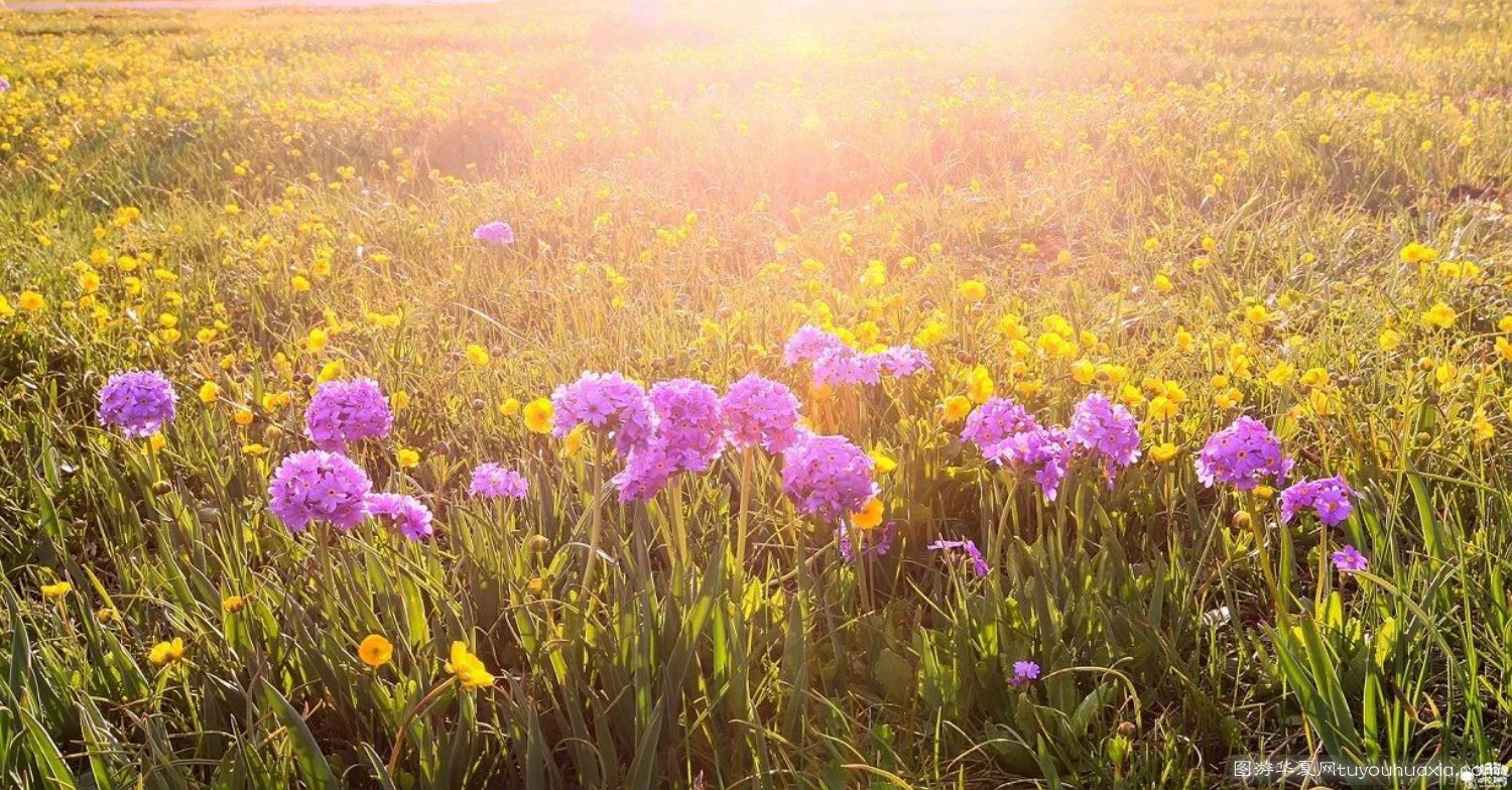 14张照片那拉提草原风景区 (美丽的那拉提草原真实图片)