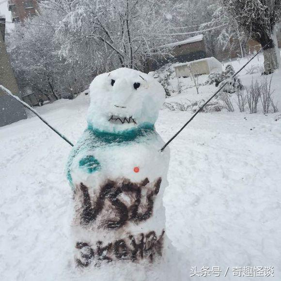 俄罗斯留学生涯,俄罗斯留学一年多少钱