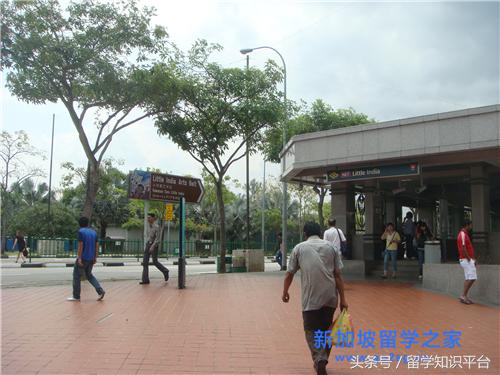 去新加坡研究生就业前景,去新加坡读研究生