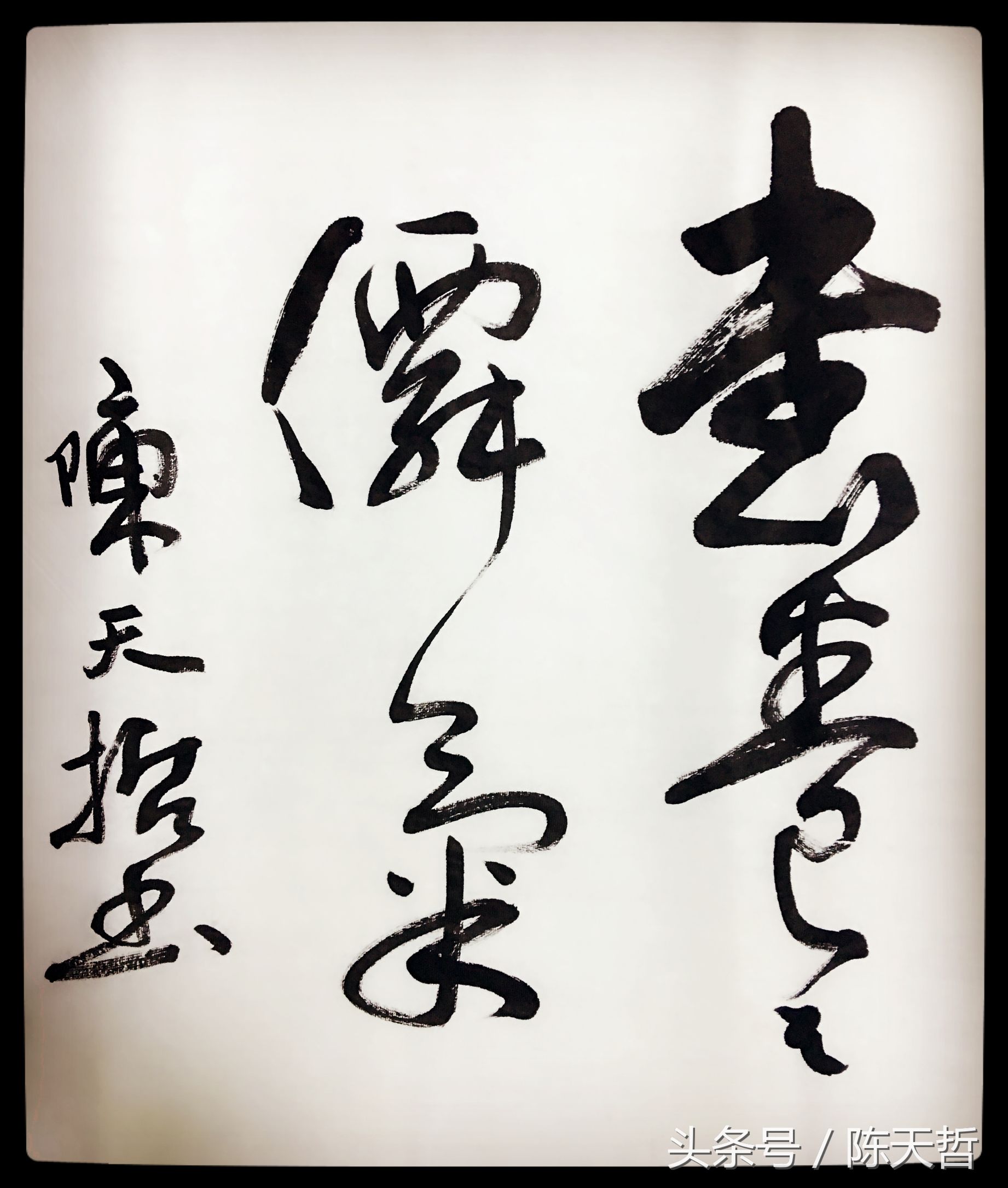 沈鹏书法作品缺点,书法家沈鹏书法到底好不好