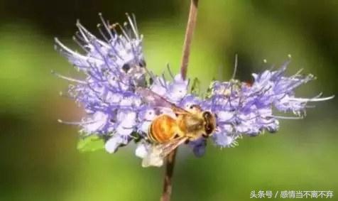 打工幽默顺口溜句子,卖货搞笑顺口溜经典句子