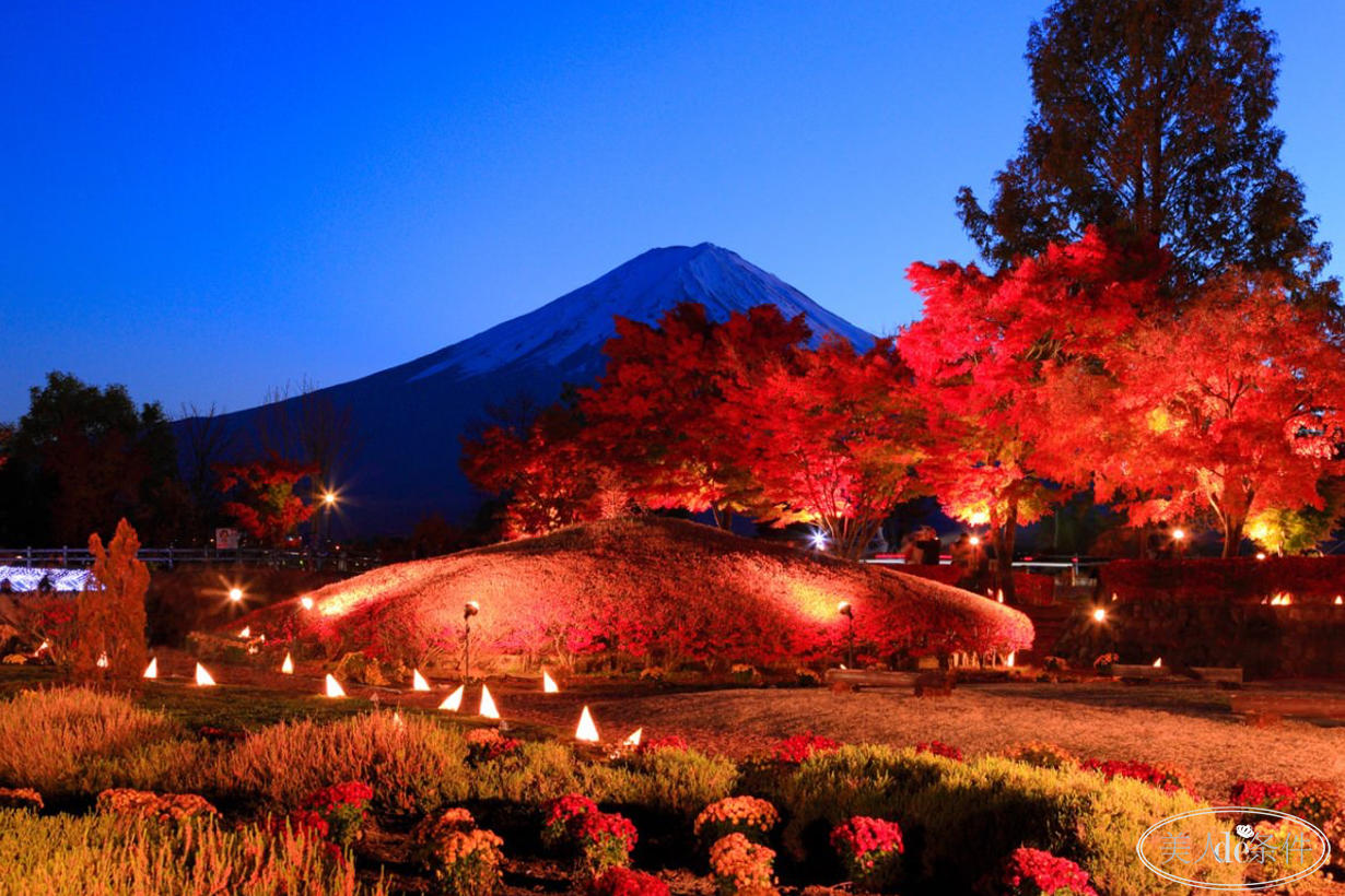 美酱周报｜虽说秋意浓，更要秋意暖！