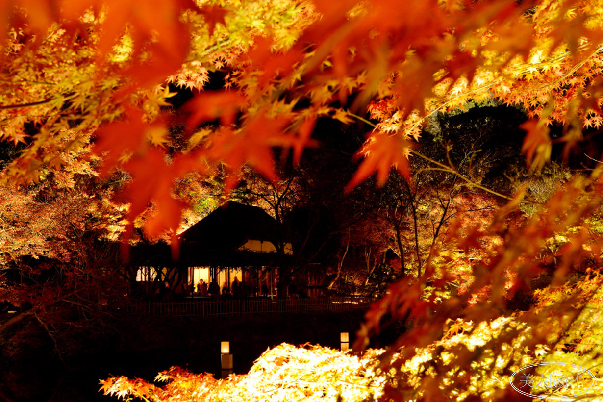 美酱周报｜虽说秋意浓，更要秋意暖！