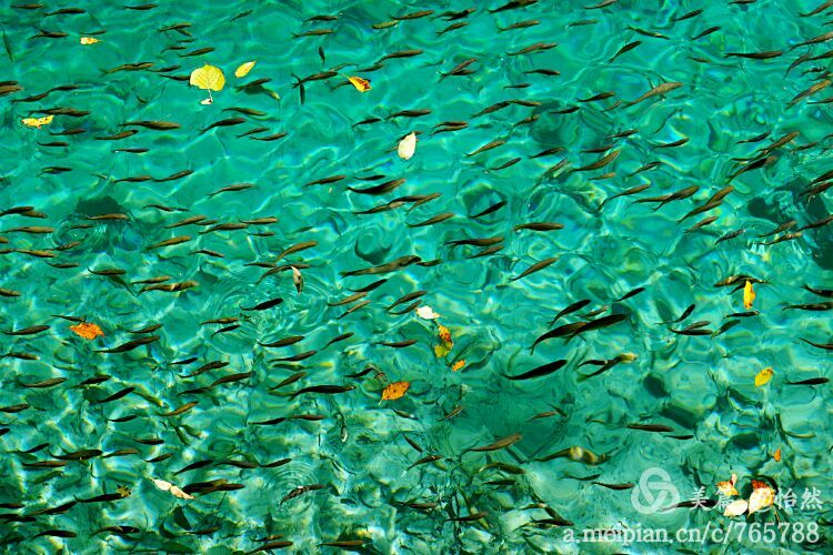 九寨沟让人失语的美丽童话世界,九寨沟有没有童话世界的景点