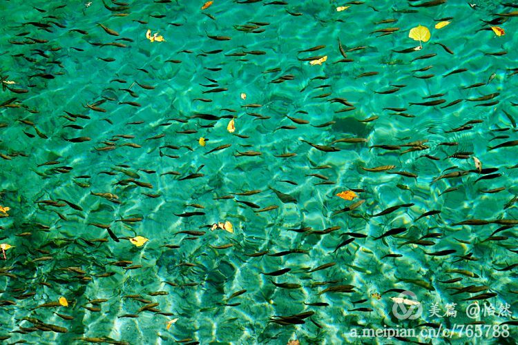 九寨沟让人失语的美丽童话世界,九寨沟有没有童话世界的景点