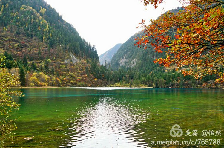 九寨沟让人失语的美丽童话世界,九寨沟有没有童话世界的景点