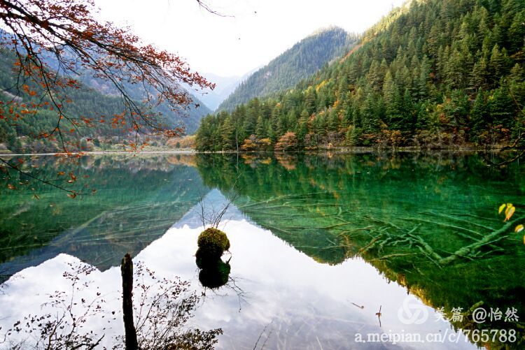九寨沟让人失语的美丽童话世界,九寨沟有没有童话世界的景点