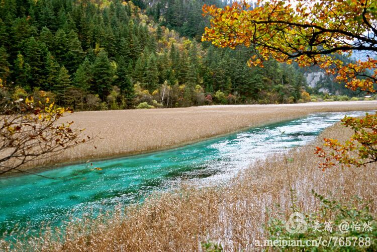 九寨沟让人失语的美丽童话世界,九寨沟有没有童话世界的景点