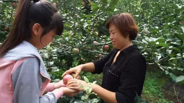 六十五年前那个给毛主席献花的小姑娘,为何在央视舞台上转身落泪