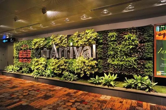 新加坡樟宜国际机场值得买什么,新加坡樟宜机场逛吃买攻略