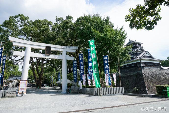 酷ma萌陪伴机器人熊本熊,酷ma萌和熊本熊