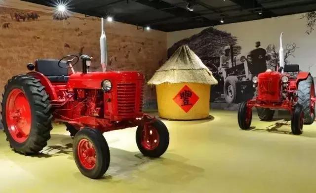 泰山天颐湖菊花节,游东湖公园菊花展