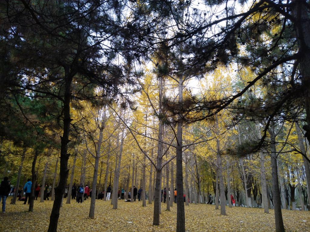 努比亚z11minis换电池,努比亚z11minis是什么处理器