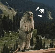 最近很火的那个微笑表情包,微笑比心表情包代表什么