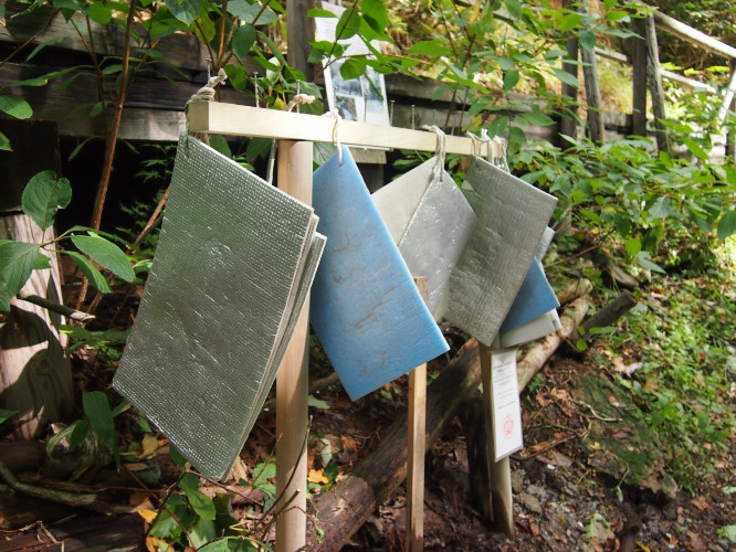 初秋日本快步东京，慢行北海道，泡汤美食8日