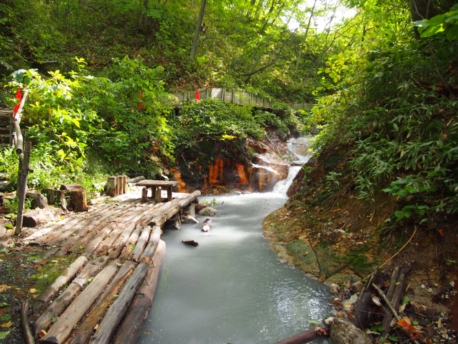 初秋日本快步东京，慢行北海道，泡汤美食8日