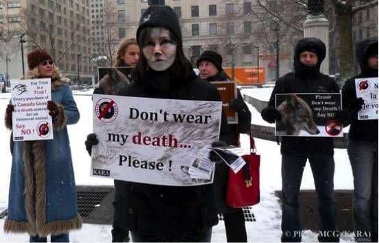 普京深蓝色大衣,普京的大衣