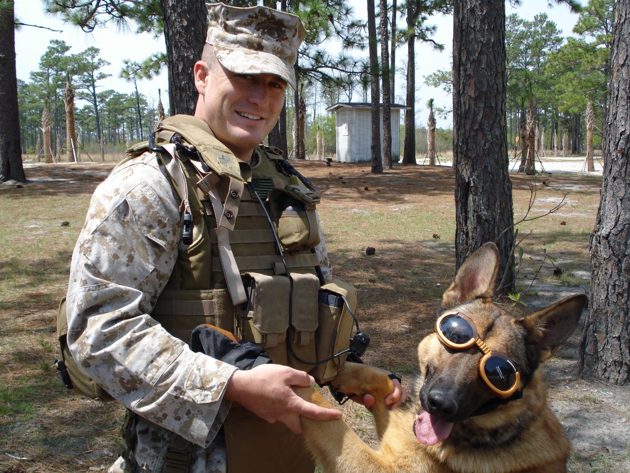 有一种狗叫你扛！狗狗黑背（德牧）的军旅生活！湄公河的哮天犬？