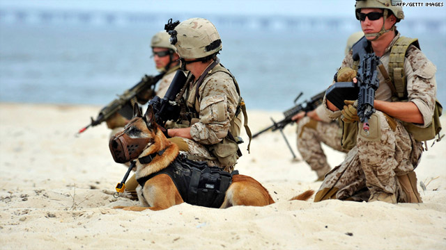 有一种狗叫你扛！狗狗黑背（德牧）的军旅生活！湄公河的哮天犬？