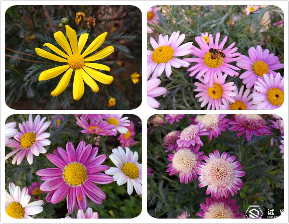 苍山洱海到大理旅游攻略,大理苍山到大理洱海