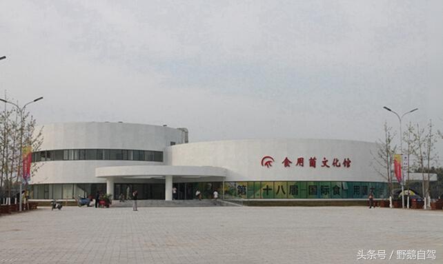 门头沟古村野鹅自驾,什么是野鹅自驾