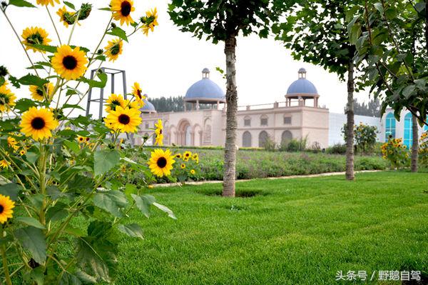 门头沟古村野鹅自驾,什么是野鹅自驾