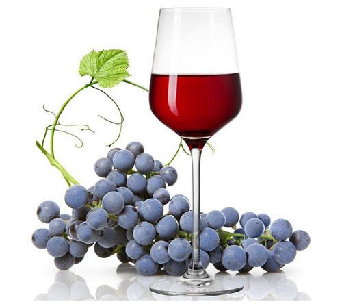 西拉黄尾袋鼠,黄尾和红尾袋鼠