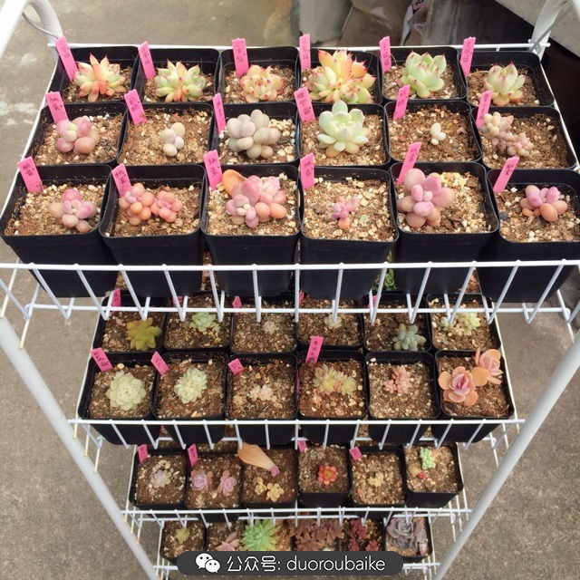 谈谈我对自己的看法,谈谈我对恋爱的看法