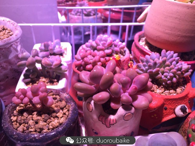 谈谈我对自己的看法,谈谈我对恋爱的看法