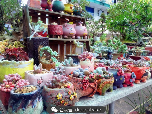 谈谈我对自己的看法,谈谈我对恋爱的看法