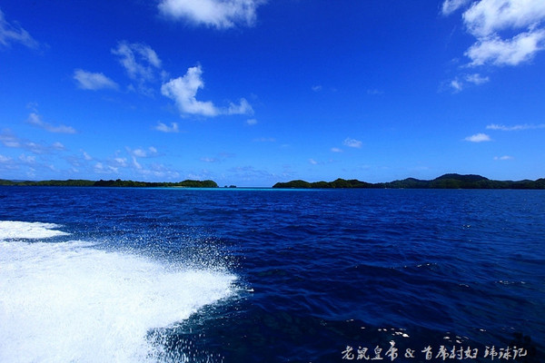 彩虹王国美术作品,彩虹王国紫色