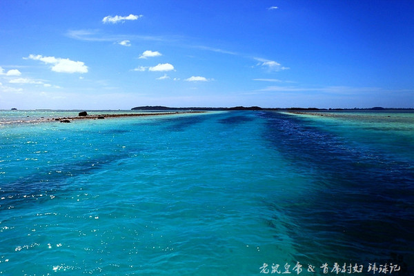 彩虹王国美术作品,彩虹王国紫色