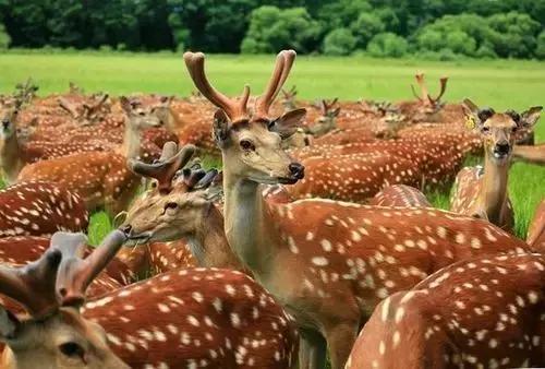 来辽源旅游,来辽源看辽河