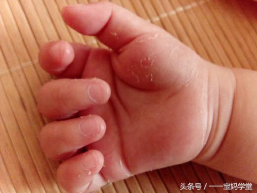 涨知识孩子必须要知道的,涨知识儿童