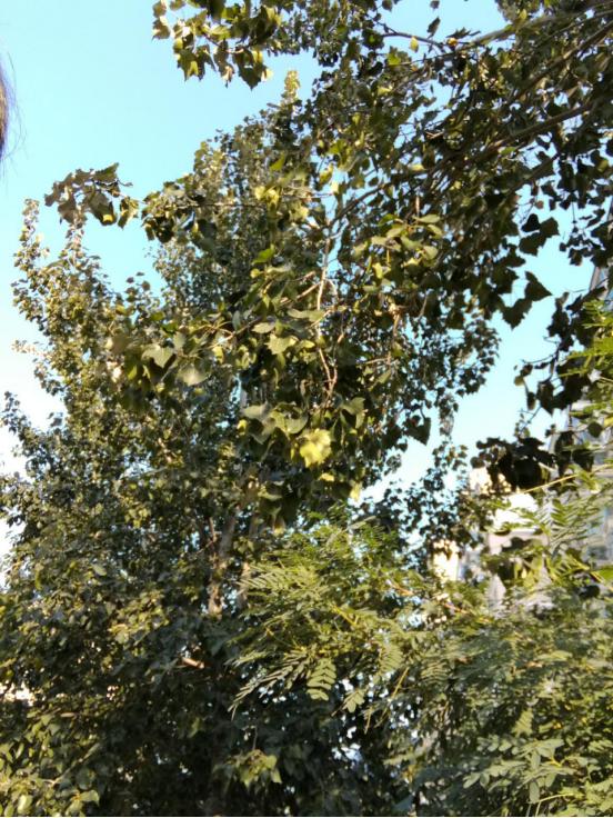 华为平板m3上手视频,华为平板m3开箱视频