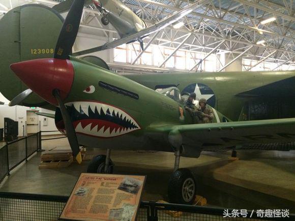 在美国旅游日常,在美国旅游攻略大全最新