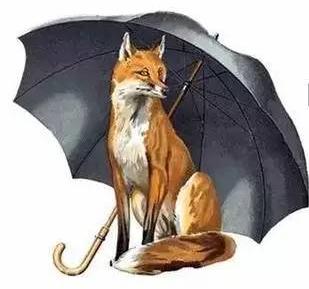 雨伞杆伸缩的结构原理,伞撑开的原理