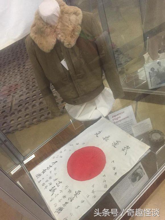 在美国旅游日常,在美国旅游攻略大全最新