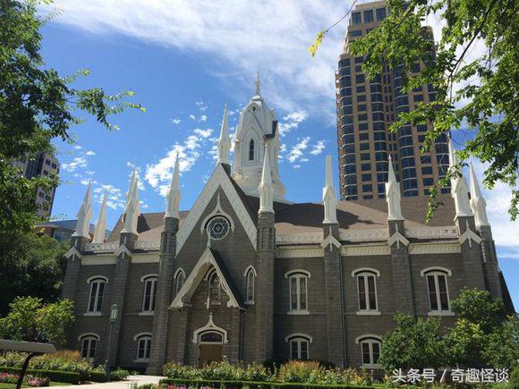 在美国旅游日常,在美国旅游攻略大全最新