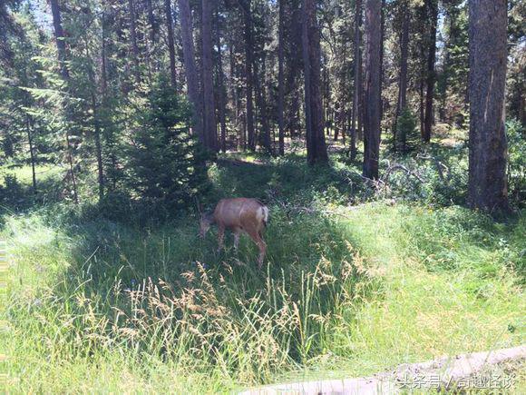 在美国旅游日常,在美国旅游攻略大全最新