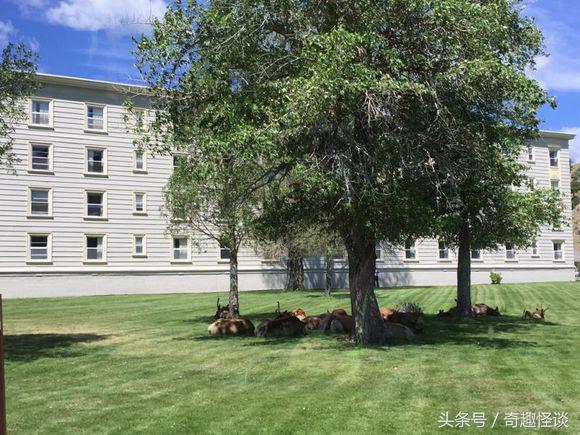 在美国旅游日常,在美国旅游攻略大全最新