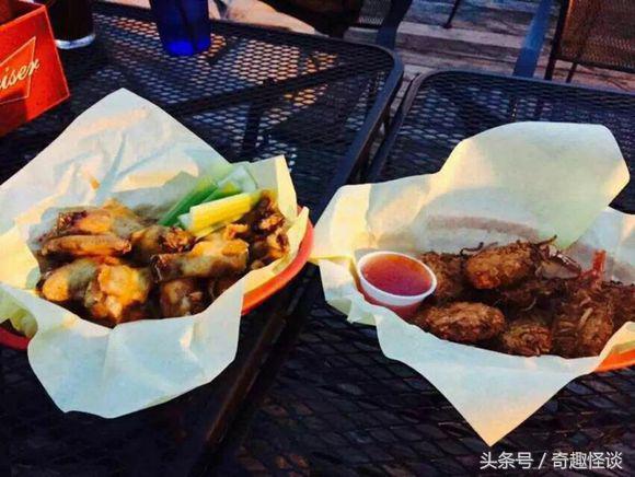 在美国旅游日常,在美国旅游攻略大全最新